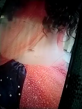 Snapshot of leelavathi-telugu chatting on February 17, 4:20 am leelavathi-telugu online show from February 17, 4:20 am