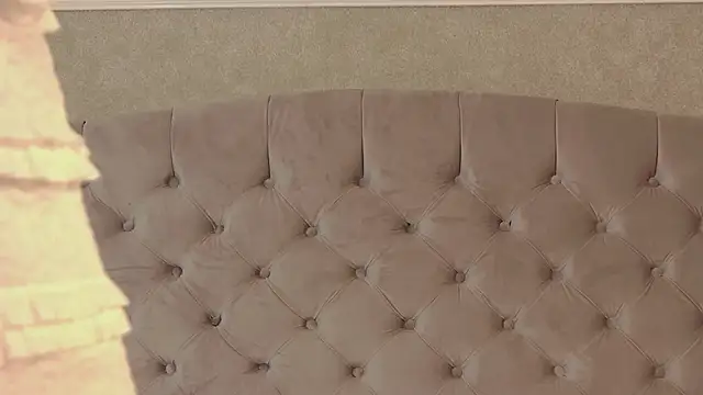 Snapshot of Alice_in_cumland_ chatting on November 21, 3:16 am Alice in cumland online show from November 21, 3:16 am