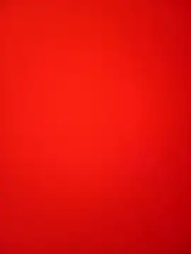 Bold Quinn online show from February 12, 3:07 pm