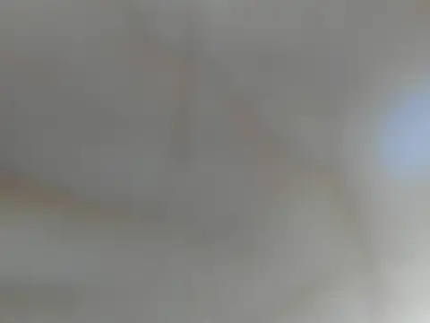 Kenai Lavis online show from December 17, 7:53 pm