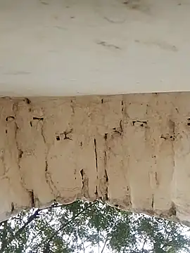 Snapshot of Xxx_suhana chatting on November 27, 7:54 am Xxx suhana online show from November 27, 7:54 am