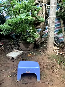 XndSeraphina online show from December 3, 9:40 am