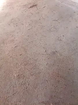 Snapshot of Nandani-758 chatting on December 2, 10:09 am Nandani-758 online show from December 2, 10:09 am