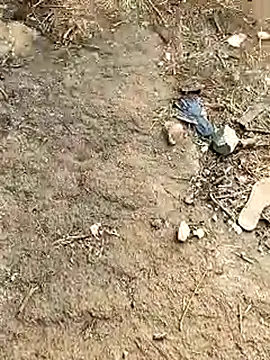 Meow buggie online show from January 13, 10:42 am