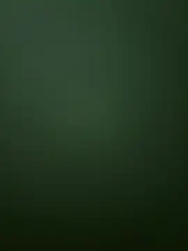 Spring-spring online show from December 1, 12:54 pm