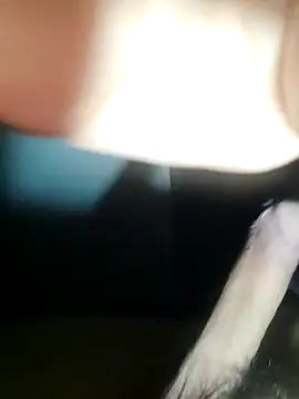 dieterrpuebl online show from December 22, 9:06 am