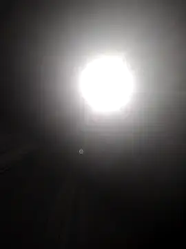 Snapshot of Gzinho69ik chatting on December 18, 4:51 am Gzinho69ik online show from December 18, 4:51 am