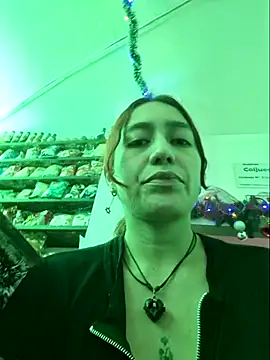 Snapshot of Eveeelyn25 chatting on November 30, 4:05 am Eveeelyn25 online show from November 30, 4:05 am