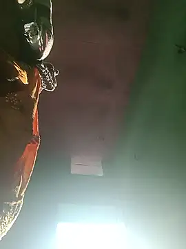 Pooja hote online show from January 16, 2:37 am