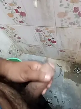 TeluguBoyforyou1 online show from November 30, 12:36 am