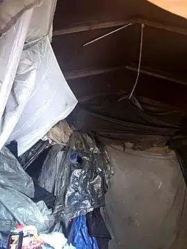 Elieli2424eli online show from February 10, 5:17 pm