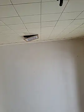 wakahoe online show from March 22, 4:54 pm