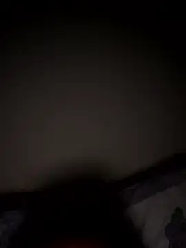 PartiedOmelet online show from January 7, 2:03 am