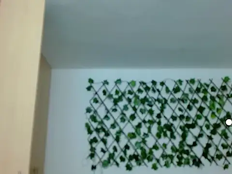 kuroneko 97 online show from November 29, 8:23 pm