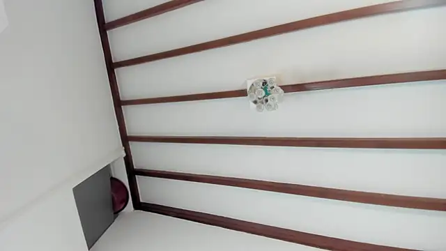 IsaSantoDomingo online show from January 31, 10:52 pm