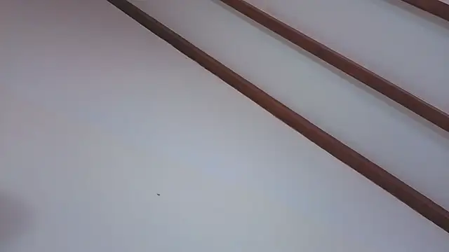 IsaSantoDomingo online show from February 5, 9:52 pm