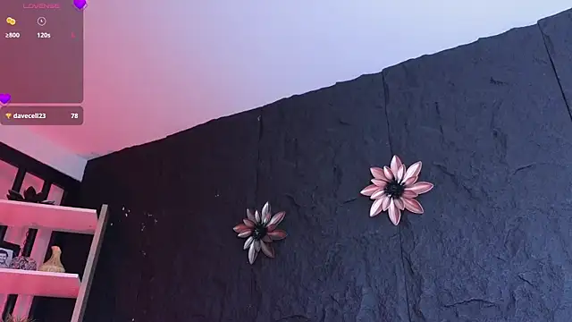 Paulo 527 online show from January 6, 9:29 pm