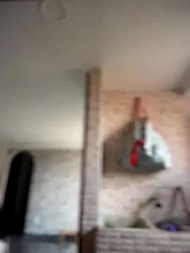 -Nala online show from December 2, 12:10 pm