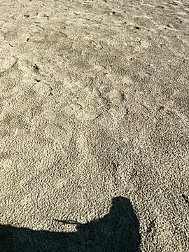 Snapshot of ratemydickbabe chatting on December 1, 9:36 am ratemydickbabe online show from December 1, 9:36 am