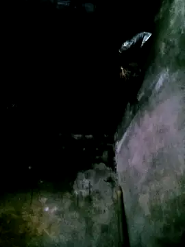 mumu661 online show from February 3, 5:05 am