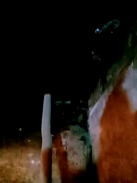 mumu661 online show from February 4, 9:59 am