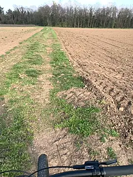 Snapshot of marconordic chatting on March 21, 3:04 pm marconordic online show from March 21, 3:04 pm