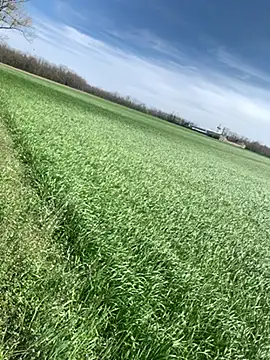 Snapshot of marconordic chatting on March 29, 1:11 pm marconordic online show from March 29, 1:11 pm