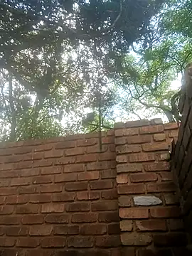 BlackJuicy 01 online show from December 15, 10:52 am