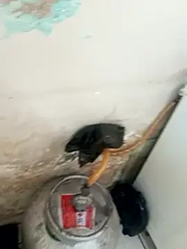  - putinha - online show from December 17, 3:18 pm