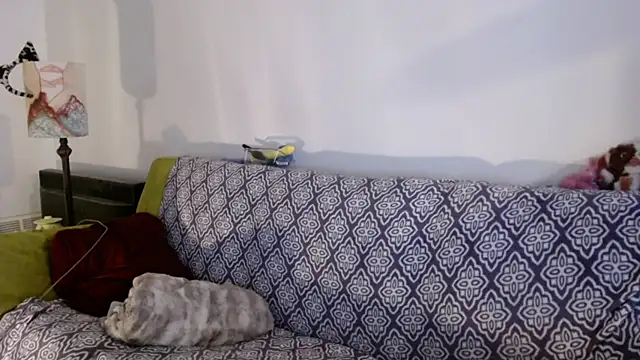 Snapshot of DeliaBlew chatting on December 4, 3:10 pm DeliaBlew online show from December 4, 3:10 pm