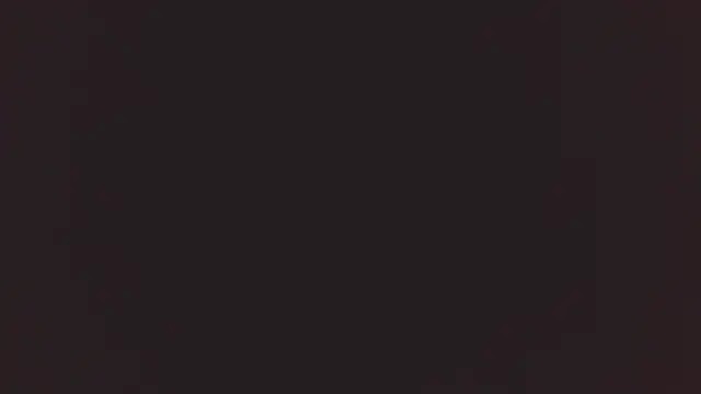 Bellamorgann online show from December 2, 11:00 pm