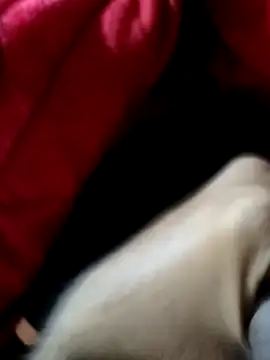 mast boy online show from December 14, 8:52 am