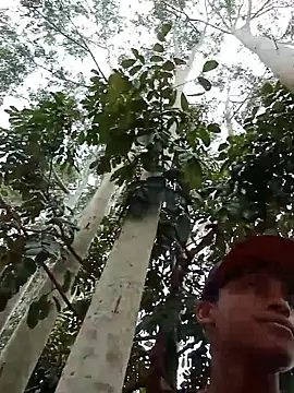 Snapshot of Negok1ng17cm chatting on December 2, 2:45 pm Negok1ng17cm online show from December 2, 2:45 pm