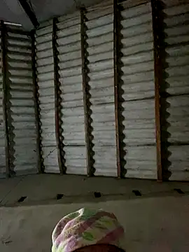 Snapshot of Lilik2 chatting on December 5, 9:29 am Lilik2 online show from December 5, 9:29 am