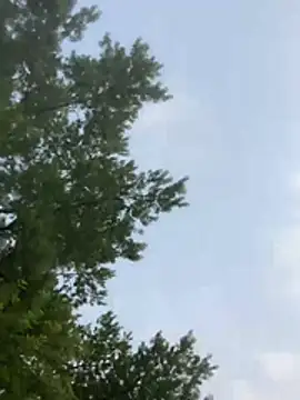 SpunRedneck online show from July 17, 12:17 am