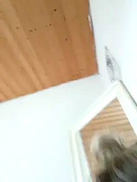 Snapshot of Milas_Dreams_OF chatting on December 15, 8:40 am Milas Dreams OF online show from December 15, 8:40 am