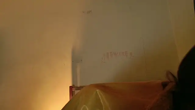 Snapshot of MoonLipsON- chatting on March 13, 2:51 am MoonLipsON- online show from March 13, 2:51 am