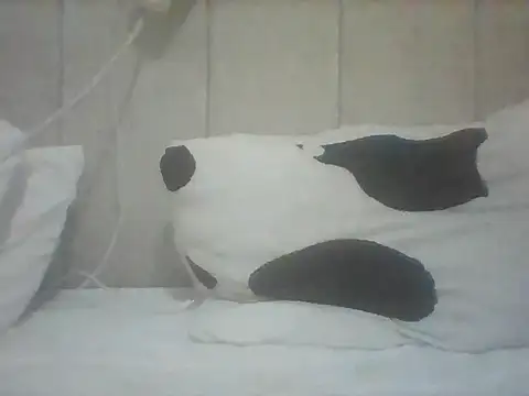 Snapshot of Thand03 chatting on May 26, 3:57 am Thand03 online show from May 26, 3:57 am