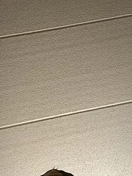 Big German cock974 online show from February 16, 9:00 pm