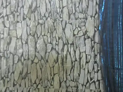 Exotic indian95 online show from March 13, 6:53 am