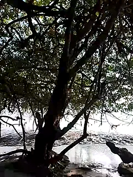 Snapshot of Andreskelly chatting on February 13, 9:22 pm Andreskelly online show from February 13, 9:22 pm