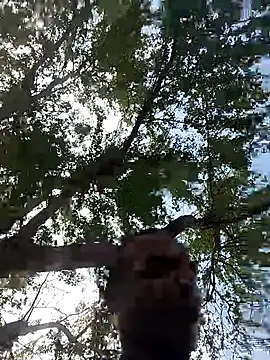 Snapshot of Andreskelly chatting on March 17, 3:15 pm Andreskelly online show from March 17, 3:15 pm