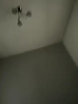 Yorkieboiiiiiii online show from December 21, 11:50 am