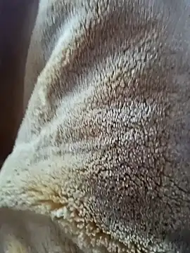 AR7v online show from December 15, 9:24 am