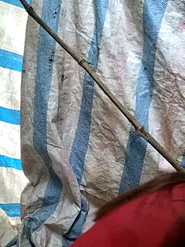 Snapshot of mit0-77 chatting on February 15, 12:51 am mit0-77 online show from February 15, 12:51 am