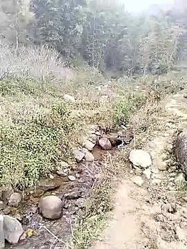 neko-nancy online show from January 14, 2:50 am