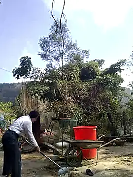 neko-nancy online show from January 18, 4:05 am