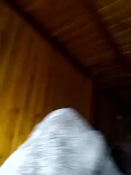 neko-nancy online show from February 28, 2:29 pm