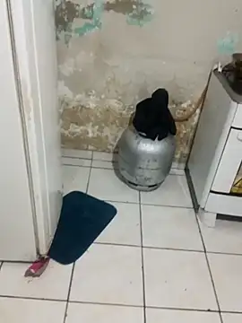 Snapshot of _-_charmosa chatting on December 15, 1:21 am - charmosa online show from December 15, 1:21 am