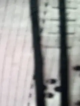 teena-11 online show from March 23, 2:21 pm